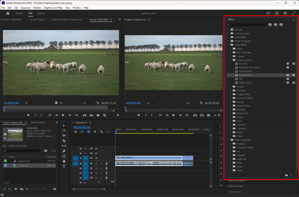 Premiere Pro –Lumetri Color